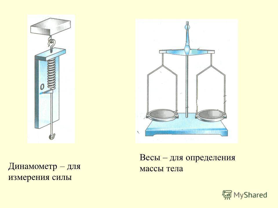Что такое динамометр? виды и характеристики :: syl.ru