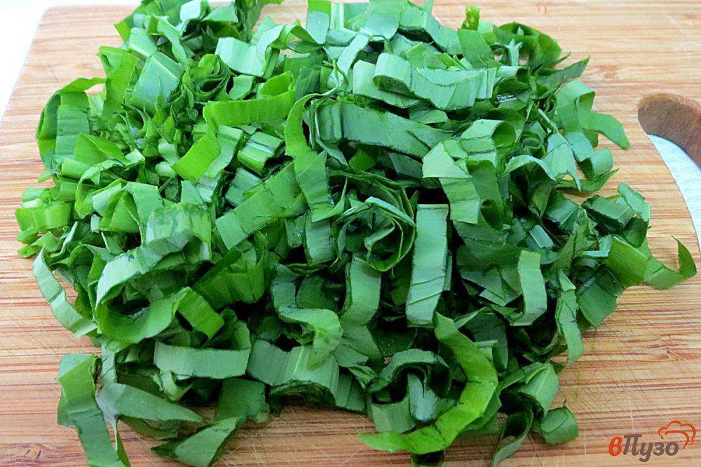 Как приготовить зеленый борщ со щавелем - 6 простых рецептов