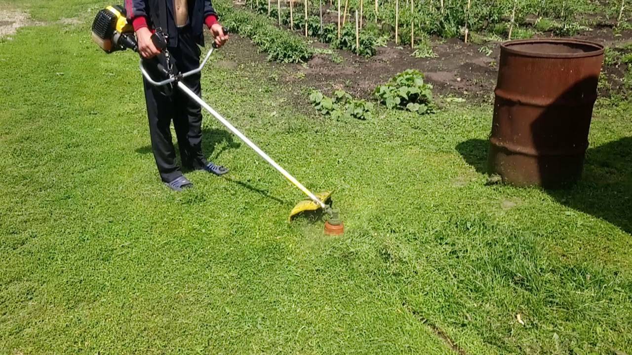 Можно ли косить газон триммером: как ровно подстричь газонную траву, как правильно стричь, как выглядит триммер для стрижки