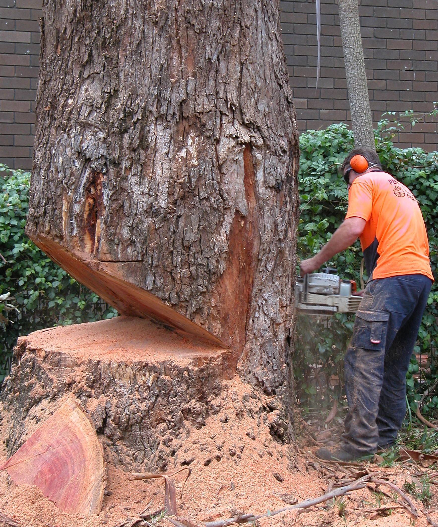 Спилить удалить дерево