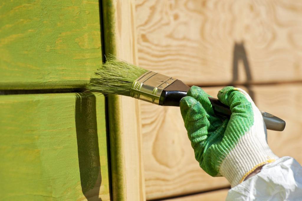 Краска для стен: как выбрать лучший вариант для дома