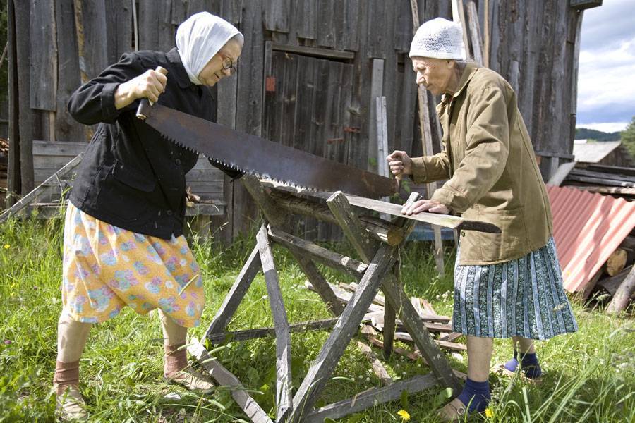 Можно ли спиливать деревья возле многоквартирного дома