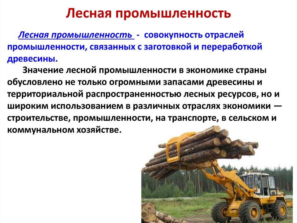 Технологические процессы лесосечных работ. хлыстовая и сортиментная технологии | lesozagotovka.com