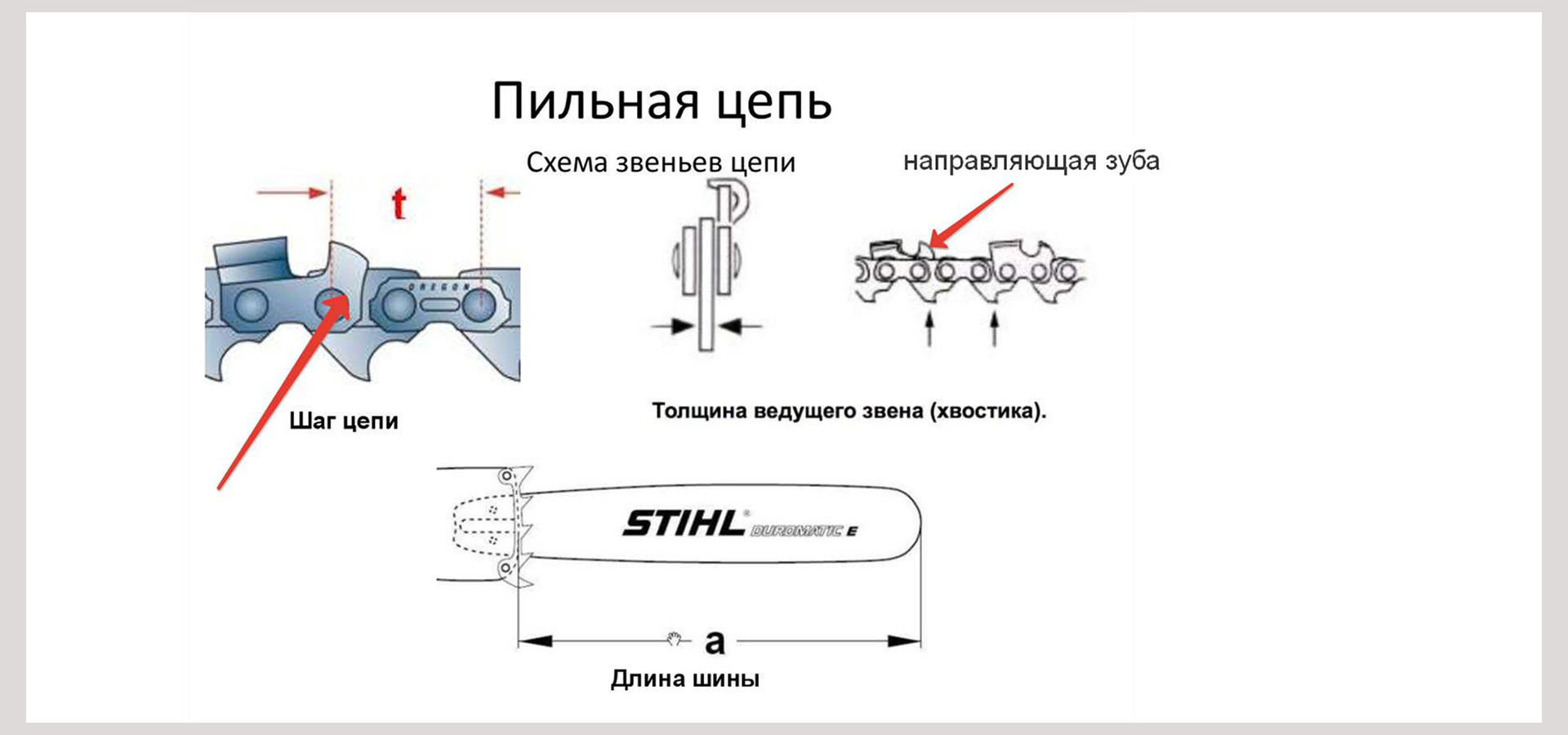 Шаг звена. Схема установки шины на бензопилу. Зуб цепной пилы чертеж. Схема зубьев цепи штиль 180. Пильная цепь толщина ведущего звена таблица.