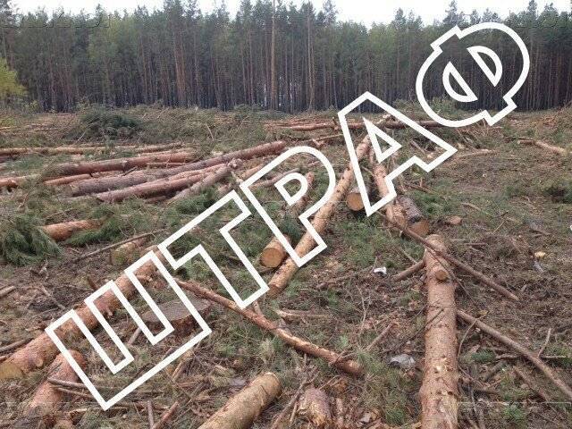 Разрешенно ли пилить дрова на землях сельхозназначения