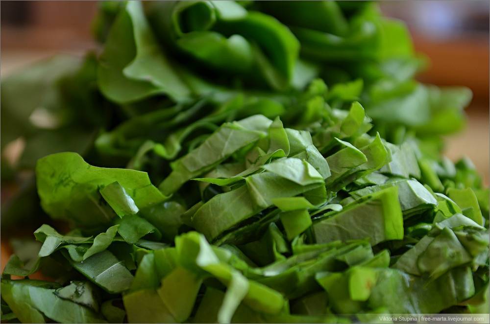 Зеленый борщ с щавелем - 6 вкусных классических рецептов