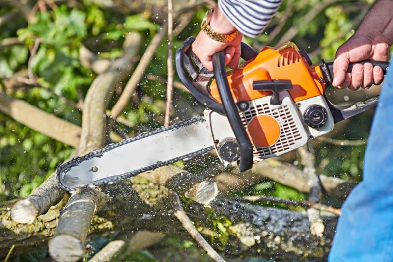 Ручная валка деревьев: инструкция и техника безопасности