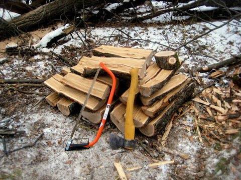 Можно ли в лесу распиливать валежник бензопилой | kb-gorizont.ru