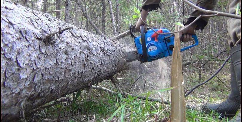 Как спилить и повалить дерево вручную: инструменты, последовательность работы, правила валки, техника безопасности, проведение работ вблизи домов