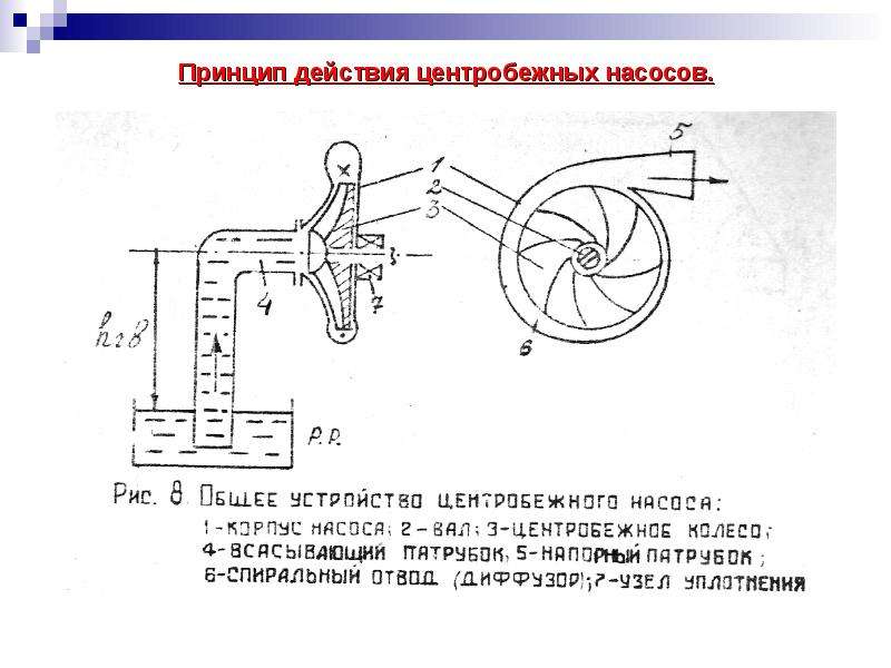 Центробежные насосы. виды, характеристики центробежных насосов.