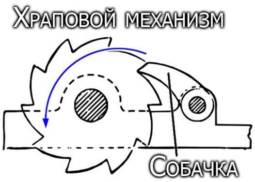 Секаторы: особенности устройства с храповым механизмом