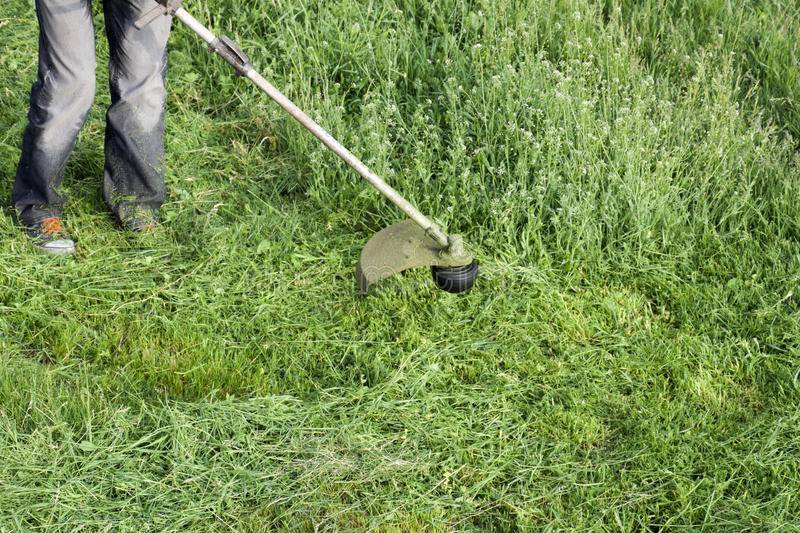 Можно ли косить мокрую траву триммером и газонокосилкой и как это делать