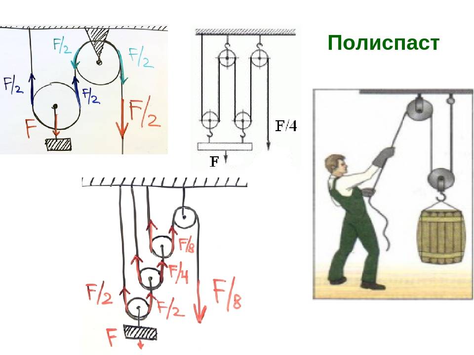 На рисунке показана система состоящая из легких тросов и четырех идеальных блоков