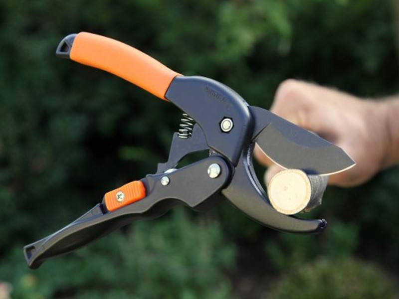 Ножовка по дереву: обзор самых удобных и надежных ручных инструментов. советы по выбору и применению