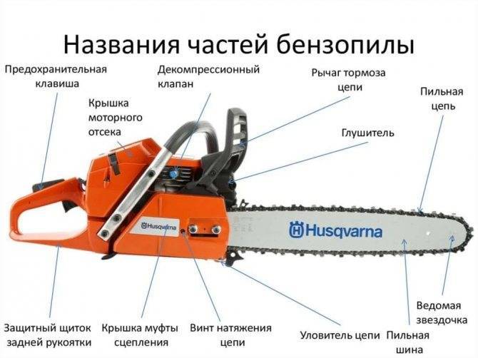 ✅ почему бензопила пилит криво причины - tractoramtz.ru