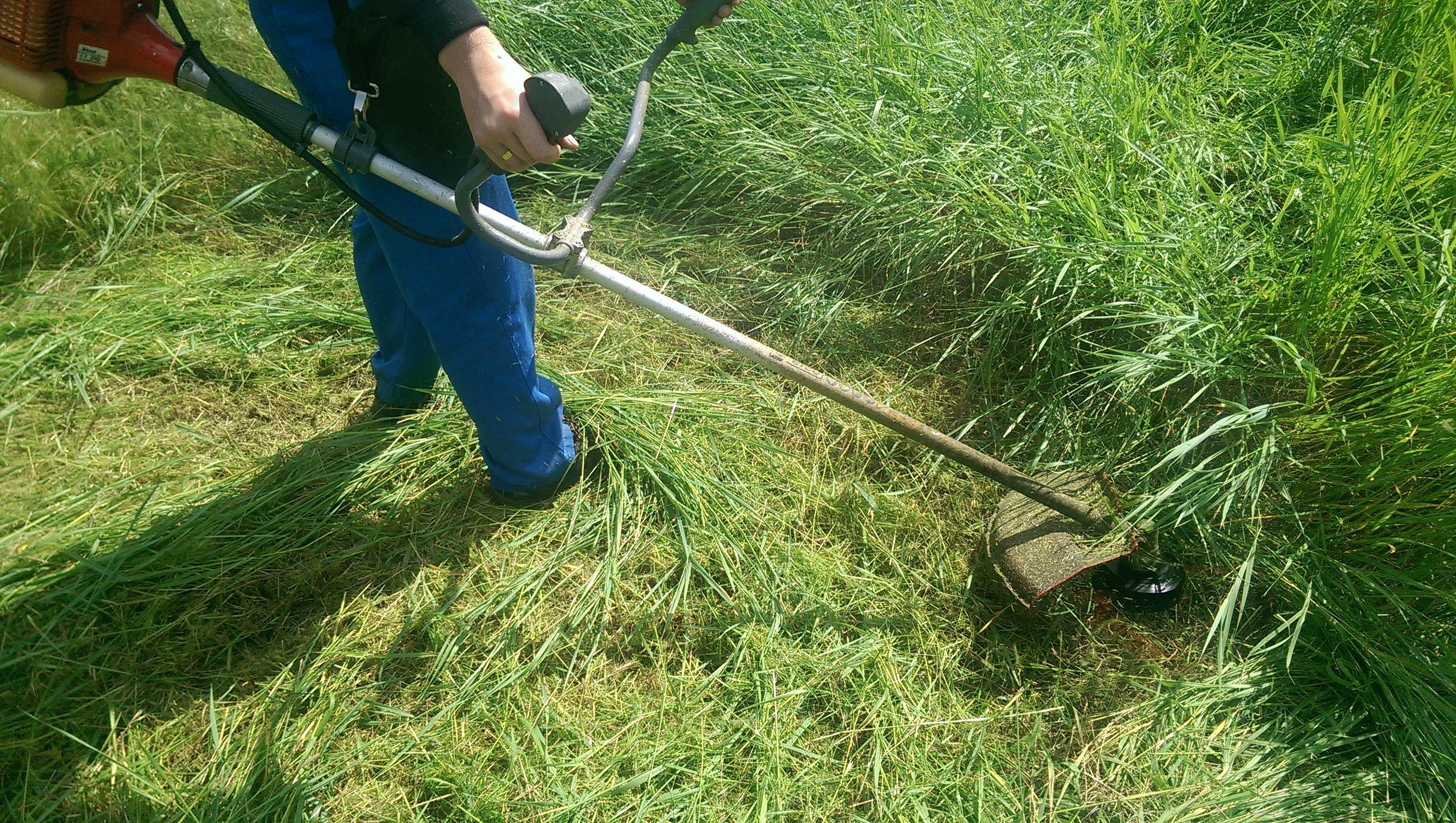 Как ухаживать за газонокосилкой и триммером, чтобы они прослужили дольше