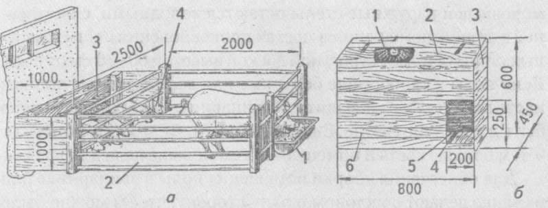 Как построить свинарник на 100 голов - смотреть проект с размерами