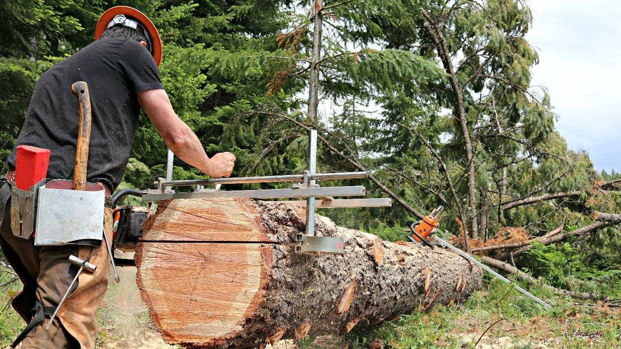 Как правильно пилить дерево болгаркой - правила и рекомендации